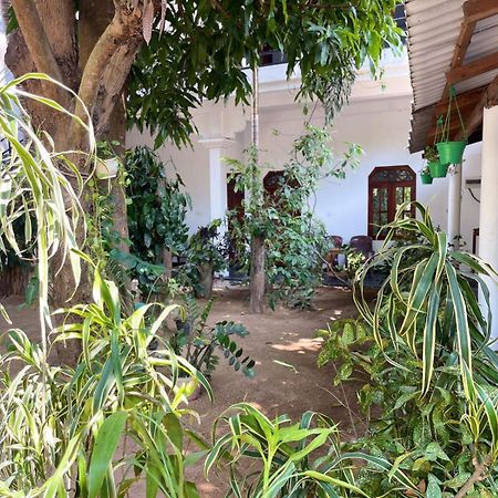 Arugambay Village Arugam Bay Dış mekan fotoğraf