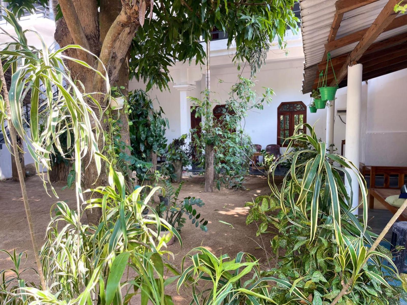 Arugambay Village Arugam Bay Dış mekan fotoğraf