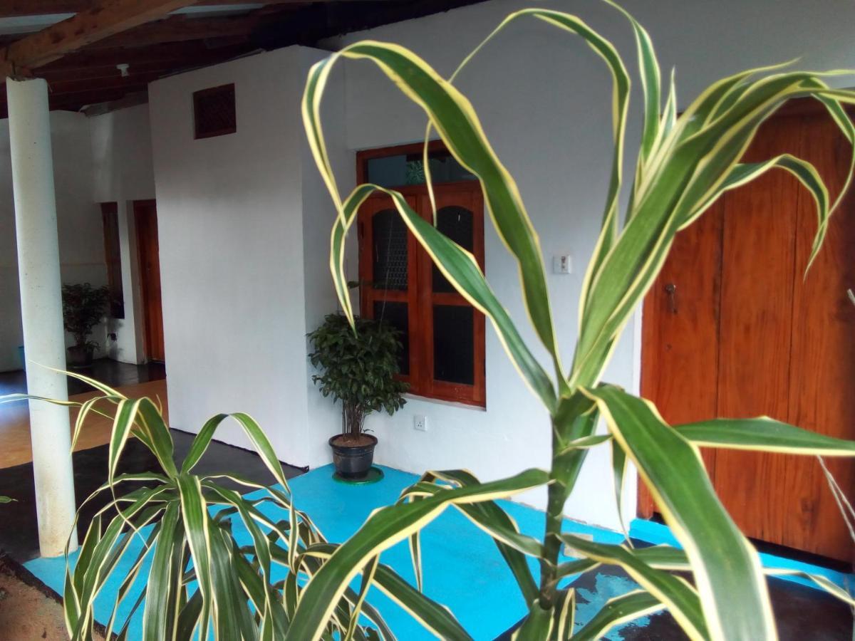 Arugambay Village Arugam Bay Dış mekan fotoğraf